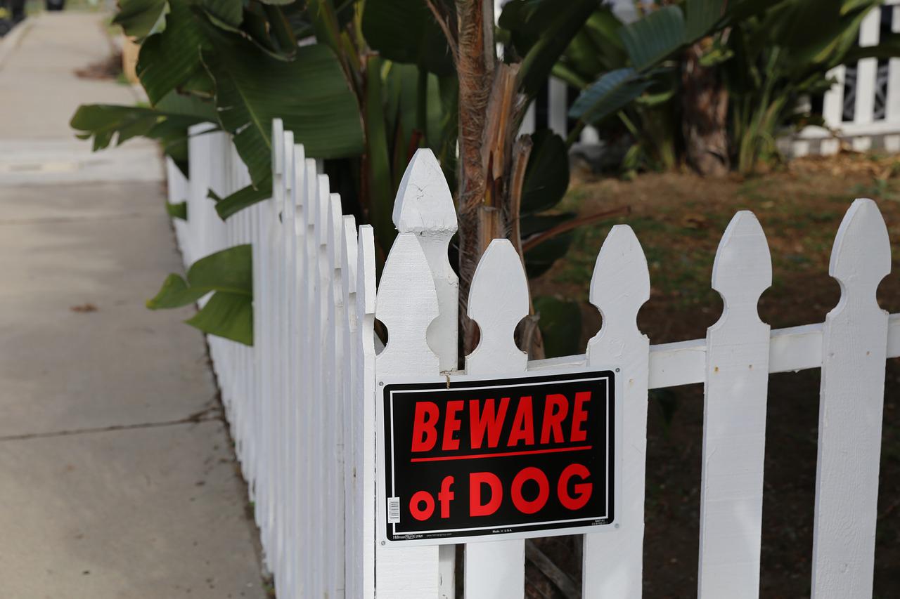 beware of dog bite